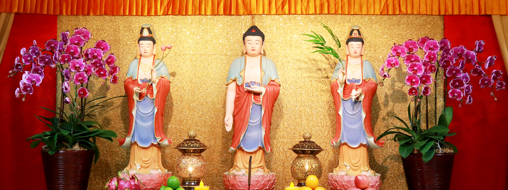 壇場介紹